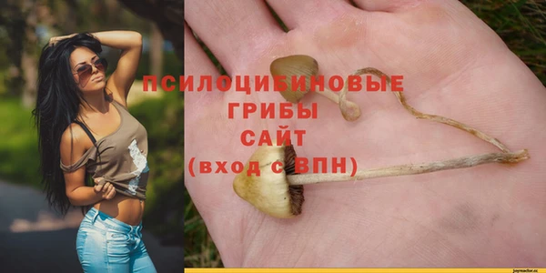 Альфа ПВП Алзамай