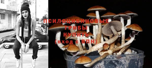 ПСИЛОЦИБИНОВЫЕ ГРИБЫ Алексеевка
