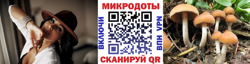 Псилоцибиновые грибы мухоморы Межгорье